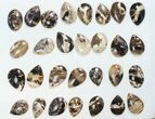 Lot: Polished Madagascar Black Opal Pendants - Pieces #138967-1